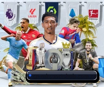 mk体育 APP - MKSports